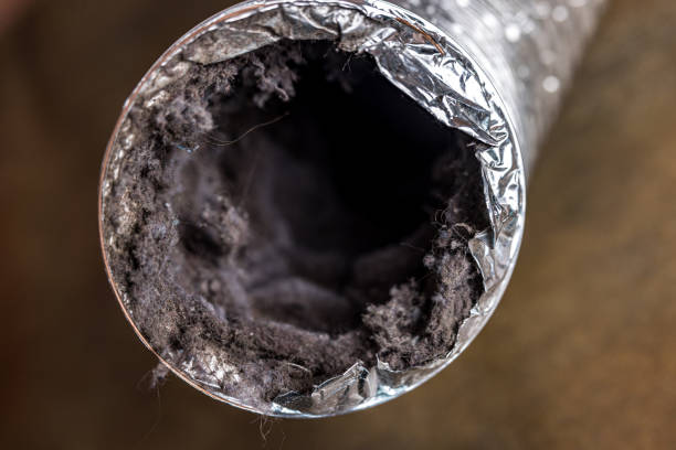 Best Dryer Vent Cleaning Services  in Mansura, LA